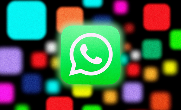 半个月收获近30个询盘，这家企业的WhatsApp营销为何能收获满满？