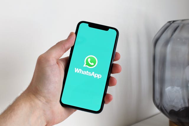 贸小七：WhatsApp营销新动向与高效群发策略！